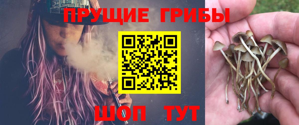 Галлюциногенные грибы Magic Shrooms Дзержинск